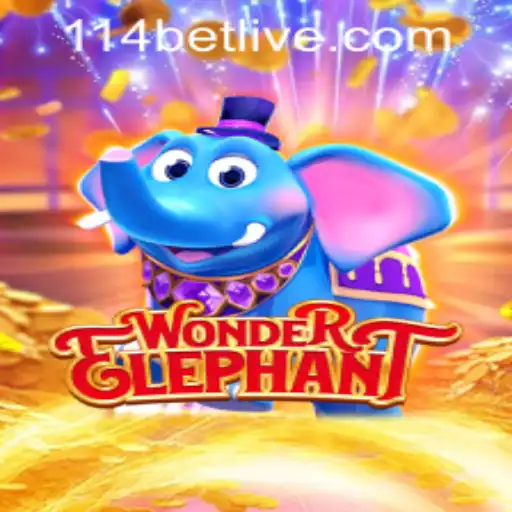 WonderElephant: A Journey into the Wild